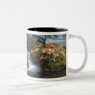 Caneca De Café Em Dois Tons Folhas de bordo vermelho cobrem as rochas no