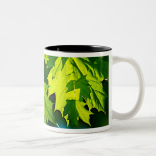 Caneca De Café Em Dois Tons Folhas frescas verdes de bordo