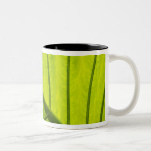 Caneca De Café Em Dois Tons Folhas verdes com veias de folhagem tropical em 2