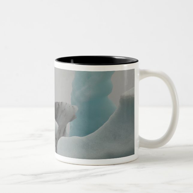 Caneca De Café Em Dois Tons Formações de iceberg (Direita)