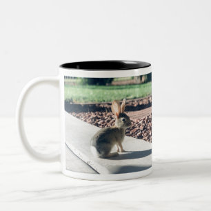 Caneca De Café Em Dois Tons foto de coelho Easter primavera
