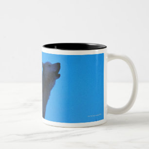 Caneca De Café Em Dois Tons Foto, lobo branco que urra na noite, cor,