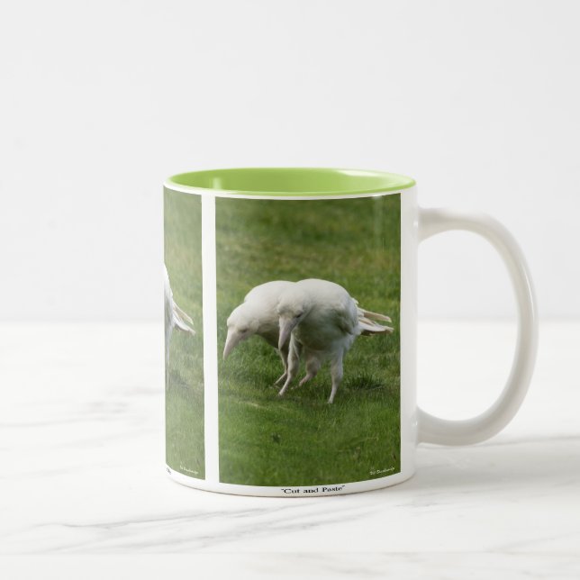 Caneca De Café Em Dois Tons Foto Raras White Raven (Direita)