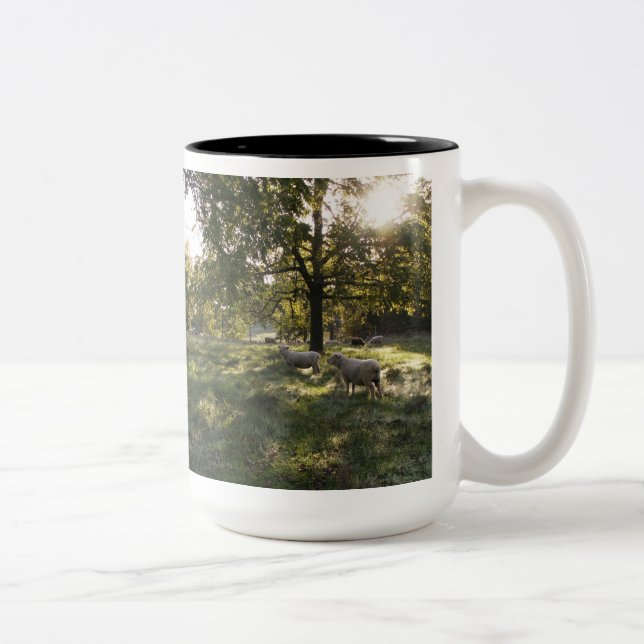 Caneca De Café Em Dois Tons Fotografando Ovinos (Direita)