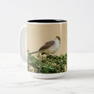 Caneca De Café Em Dois Tons Fotografia Encantadora do Pássaro Pardal