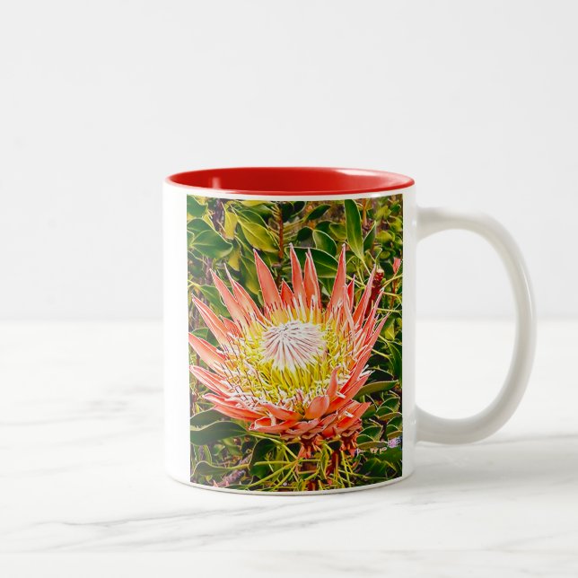 Caneca De Café Em Dois Tons Fotografia floral australiana Protea (Direita)