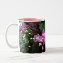 Caneca De Café Em Dois Tons Fotografia Floral Orquídea Rosa