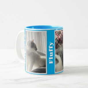 Caneca De Café Em Dois Tons Fotos e Nomes de Animais de Estimação em Azul Clar