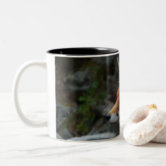 Caneca De Café Em Dois Tons Fox