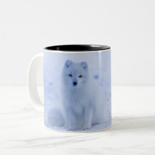 Caneca De Café Em Dois Tons Fox ártico de Islândia