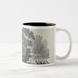 Caneca De Café Em Dois Tons Fox que escapa, 'a história geral de