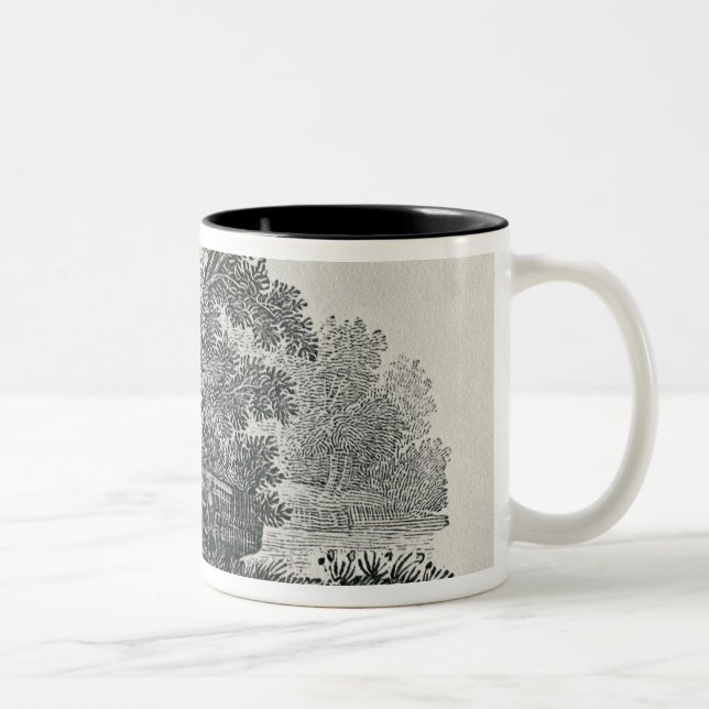Caneca De Café Em Dois Tons Fox que escapa, 'a história geral de (Direita)