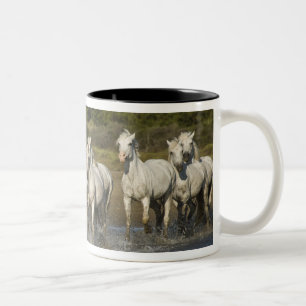 Caneca De Café Em Dois Tons França, Camargue. Cavalos correm através do estuár