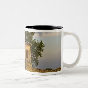 Caneca De Café Em Dois Tons França, Provença. Campo de lavanda e