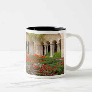 Caneca De Café Em Dois Tons França, St. Remy de Provence, claustros às 3