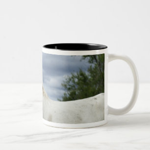 Caneca De Café Em Dois Tons France