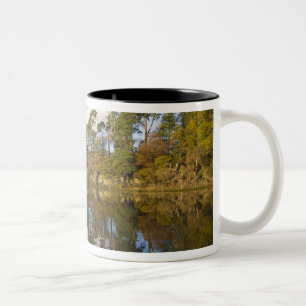 Caneca De Café Em Dois Tons Friars Crag, Derwentwater, Distrito dos Lagos,