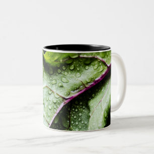 Caneca De Café Em Dois Tons Frutas saudáveis