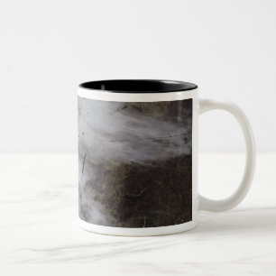 Caneca De Café Em Dois Tons Fugas da dissipação dos aviões