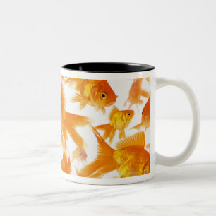 Caneca De Café Em Dois Tons Fundo que mostra um grande grupo de peixe dourado