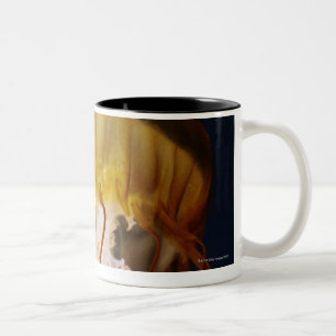 Caneca De Café Em Dois Tons Fuscescens do Chrysaora, provocação pacífica do