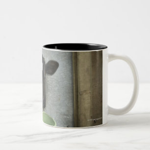 Caneca De Café Em Dois Tons Gado, caneta individual