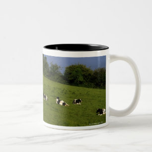 Caneca De Café Em Dois Tons Gado de Holstein-Fresian, baía de Bantry, cortiç