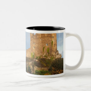Caneca De Café Em Dois Tons Gales - Um castelo galês particular perto de St.