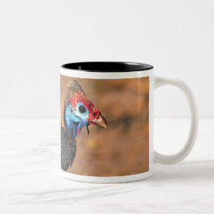 Caneca De Café Em Dois Tons Galinha-d'angola (Numida meleagris). África,