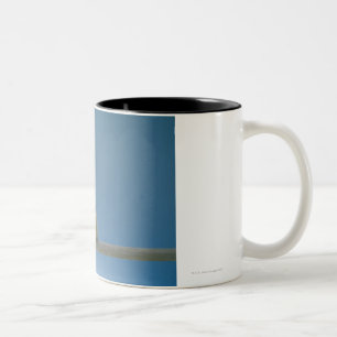 Caneca De Café Em Dois Tons Galinha solitária do animal de estimação do beb