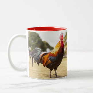Caneca De Café Em Dois Tons Galinhas com Fazenda de galos