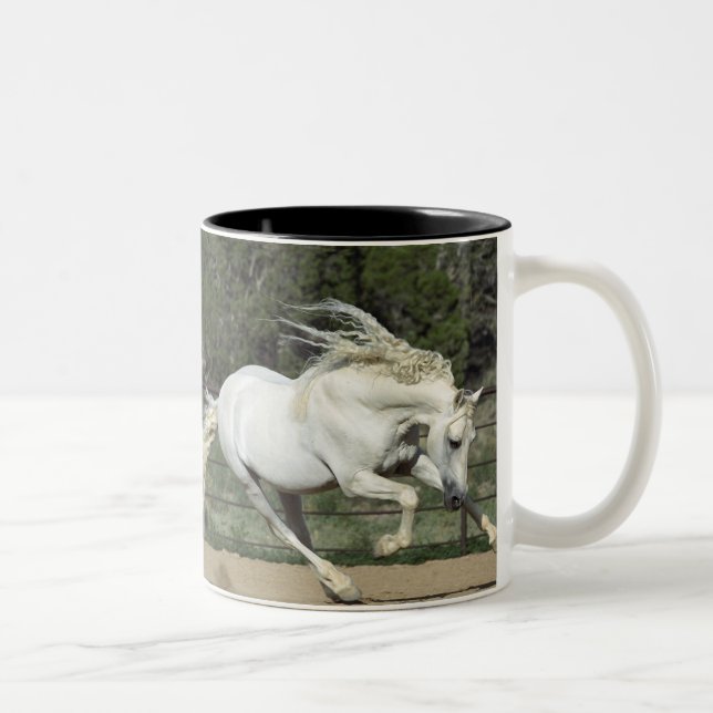 Caneca De Café Em Dois Tons Garanhão Andaluz correndo, PR (Direita)