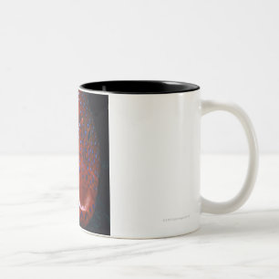 Caneca De Café Em Dois Tons Garoupa da jóia, miniata de Cephalopholis
