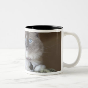 Caneca De Café Em Dois Tons Gata Ragdoll fêmea