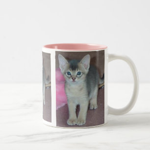 Caneca De Café Em Dois Tons Gatinho Abyssinian seis semanas velho