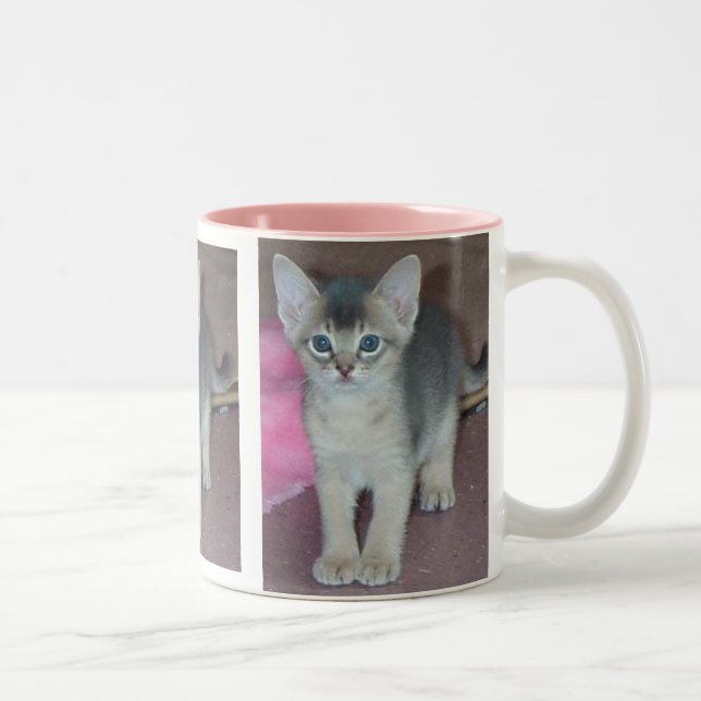 Caneca De Café Em Dois Tons Gatinho Abyssinian seis semanas velho (Direita)
