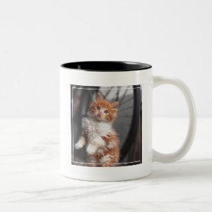 Caneca De Café Em Dois Tons Gatinho alaranjado do gato malhado