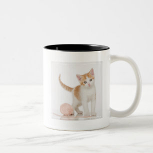 Caneca De Café Em Dois Tons Gatinho ao lado da bola da corda
