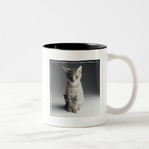 Caneca De Café Em Dois Tons Gatinho azul do gato malhado