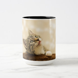Caneca De Café Em Dois Tons Gatinho Bonito com Pata Estendida