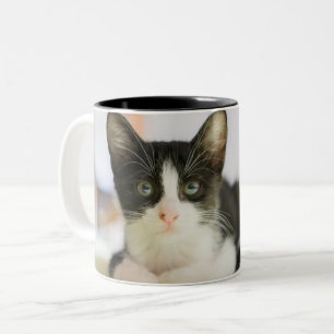 Caneca De Café Em Dois Tons Gatinho branco e preto doce