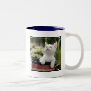 Caneca De Café Em Dois Tons Gatinho branco turco