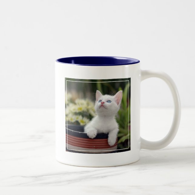 Caneca De Café Em Dois Tons Gatinho branco turco (Direita)