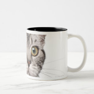 Caneca De Café Em Dois Tons Gatinho britânico de Shorthair (4 meses velho)