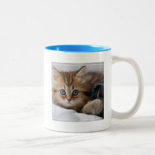 Caneca De Café Em Dois Tons Gatinho com olhos azuis