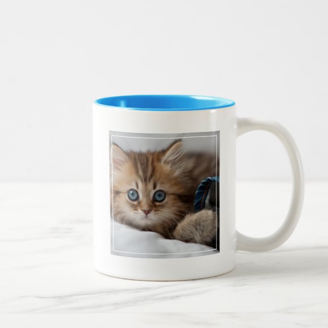 Caneca De Café Em Dois Tons Gatinho com olhos azuis (Direita)