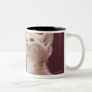 Caneca De Café Em Dois Tons Gatinho com suiças