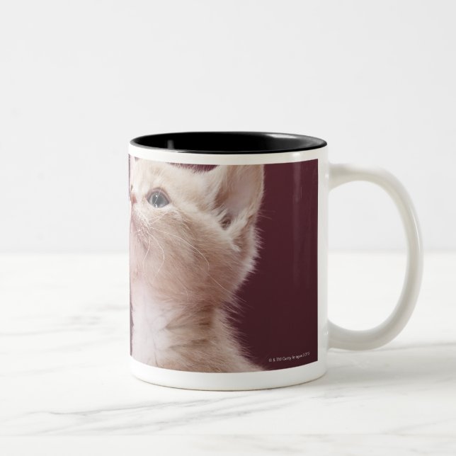 Caneca De Café Em Dois Tons Gatinho com suiças (Direita)