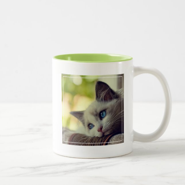 Caneca De Café Em Dois Tons Gatinho de Ragdoll (Direita)