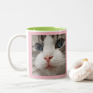 Caneca De Café Em Dois Tons Gatinho de Ragdoll